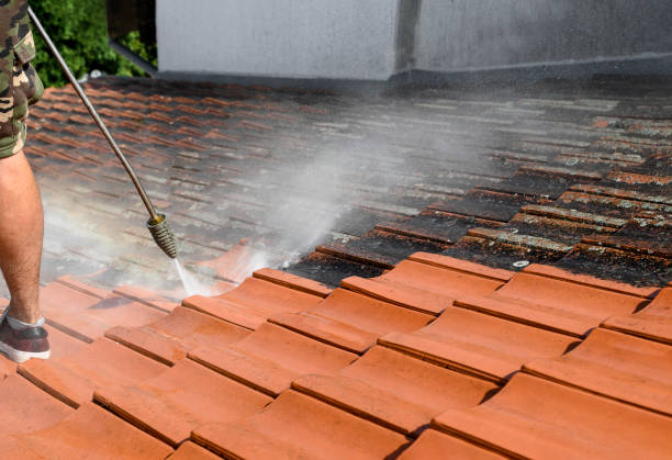 Best House Pressure Washing  in Lus Valley Marinwood, CA